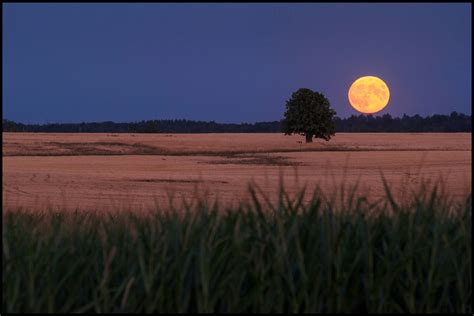 Der Mond Ist Aufgegangen - Eine Melancholichelische Reise Mit Mystischem Flair